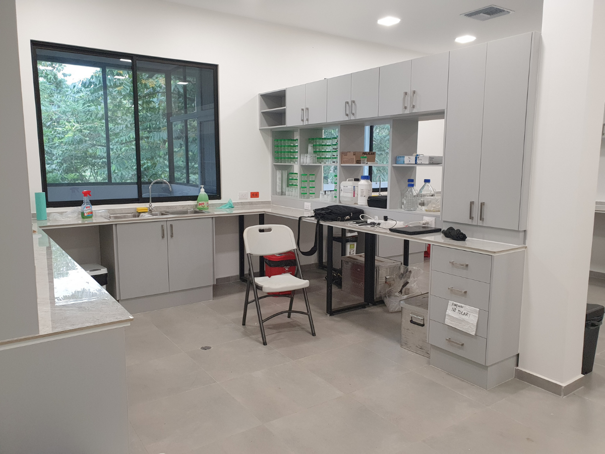 Chocó Lab: Practicing science to save the Chocó Forest